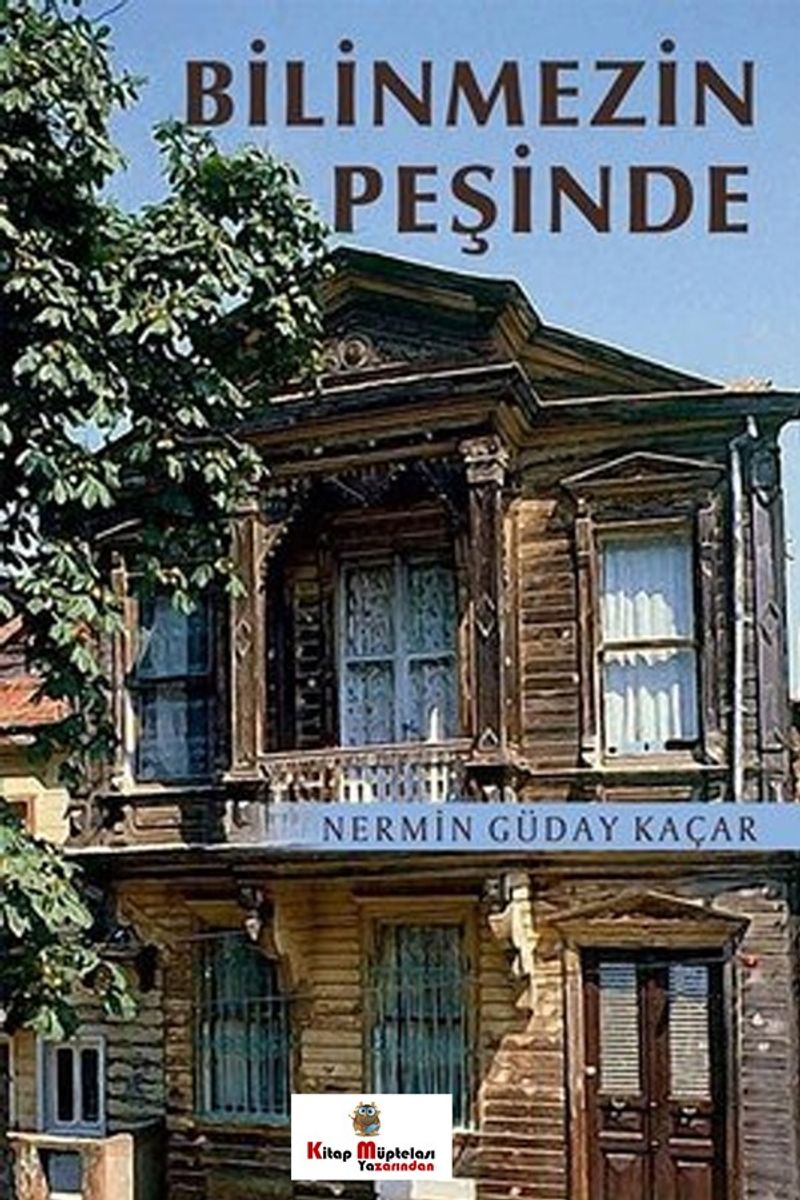 Bilinmezin Peşinde kitap kapağı