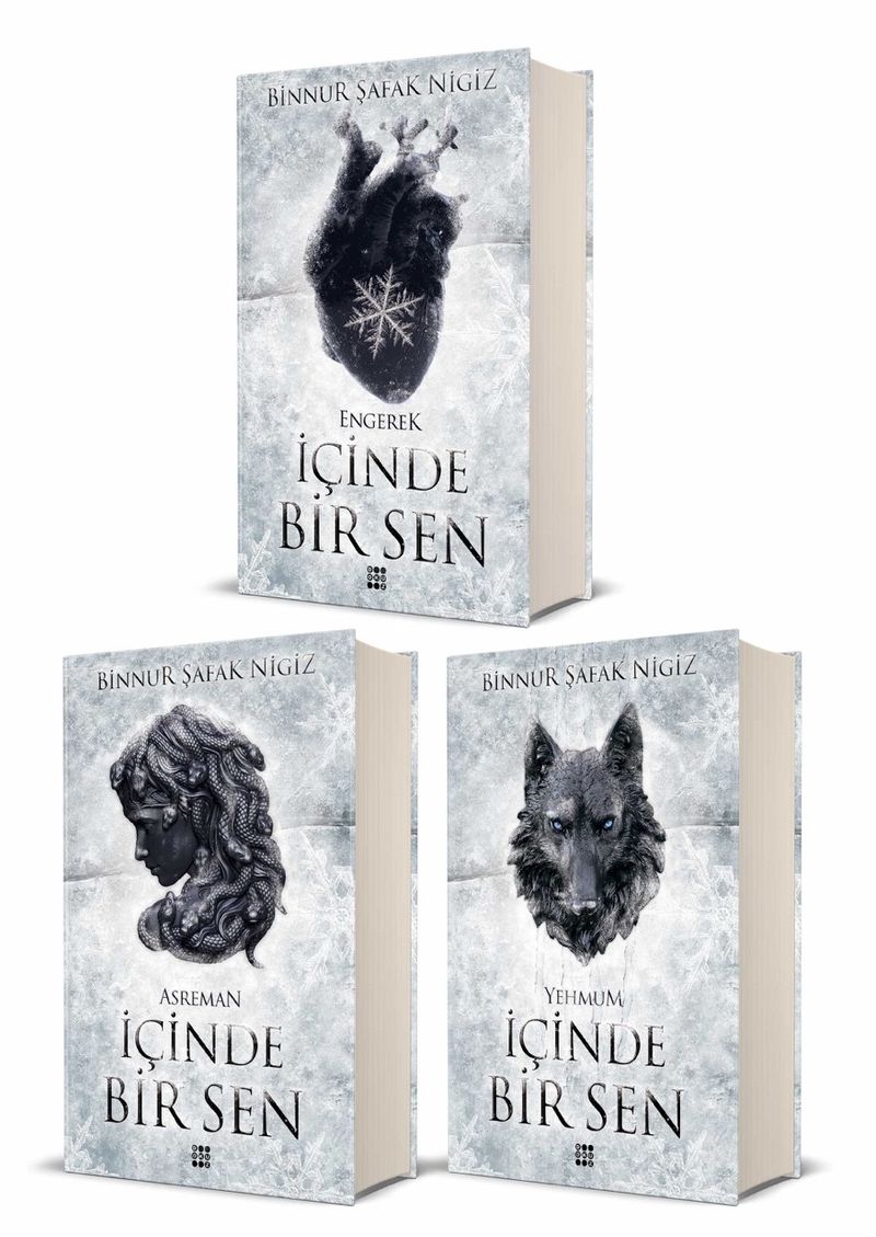 İçinde Bir Sen Serisi (3 Kitap Takım Ciltli) kitap kapağı
