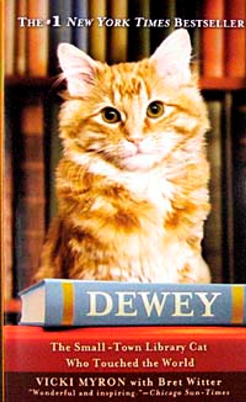 Dewey kitap kapağı