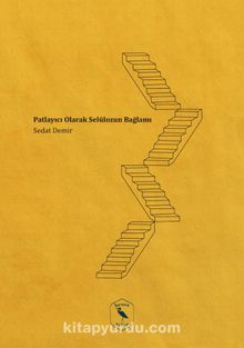 Bir Patlayıcı Olarak Selülozun Bağlamı kitap kapağı