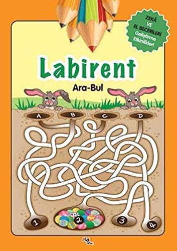 Labirent -  Ara-Bul kitap kapağı