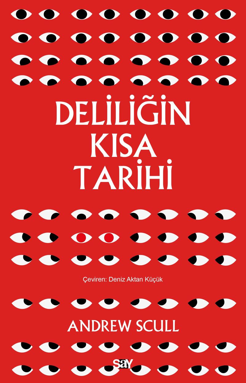 Deliliğin Kısa Tarihi kitap kapağı
