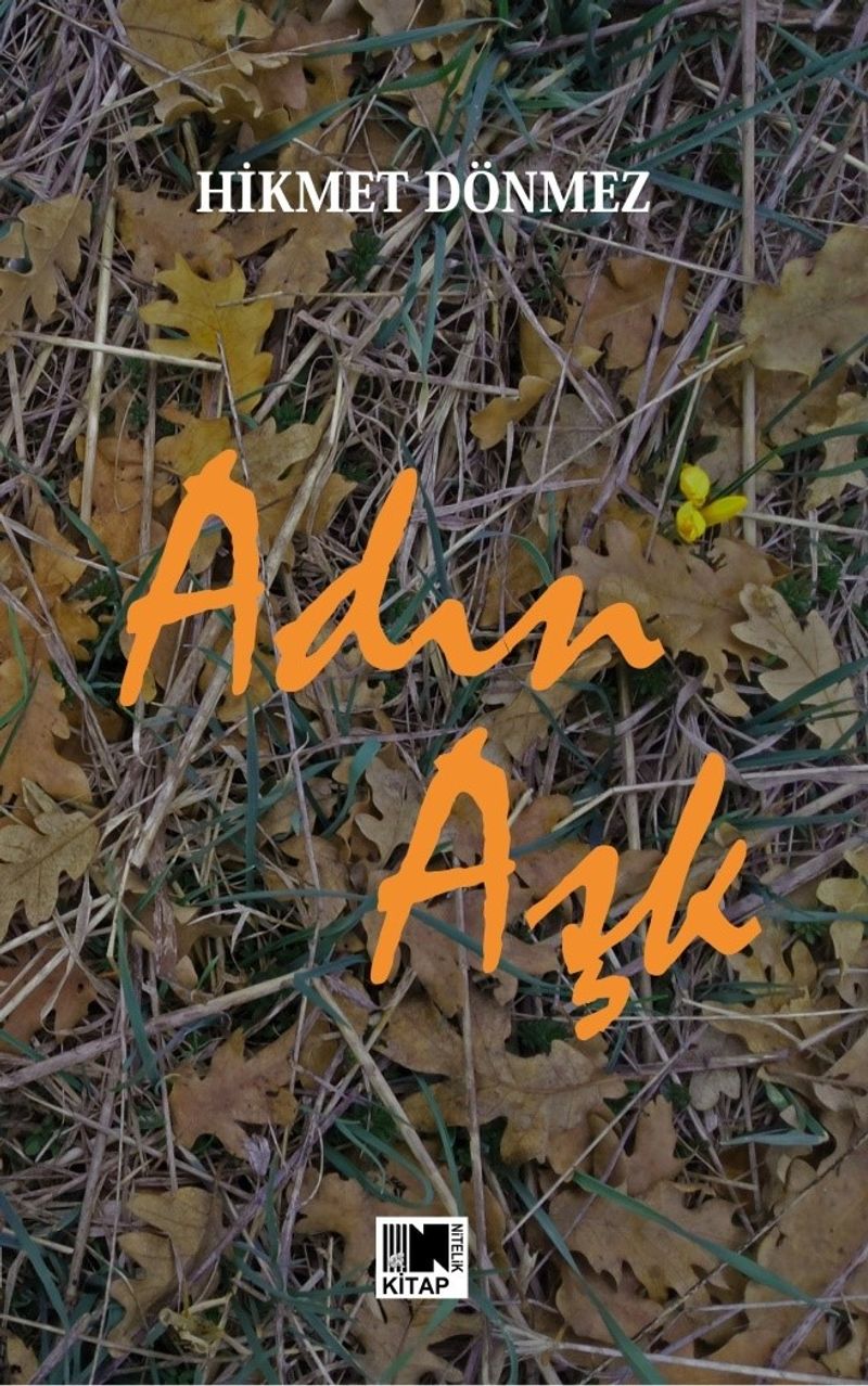 Adın Aşk kitap kapağı