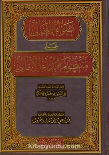 Davul Meali ala Manzumeti Bedil Emali kitap kapağı