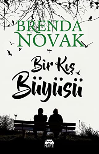 Bir Kış Büyüsü kitap kapağı