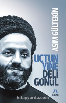 Uçtun Yine Deli Gönül kitap kapağı
