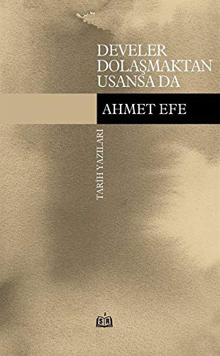 Develer Dolaşmaktan Usansa Da & Tarih Yazıları kitap kapağı
