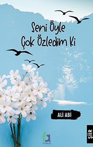 Seni Öyle Çok Özledim ki kitap kapağı