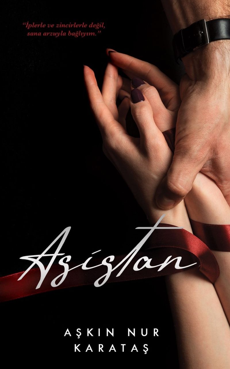 Asistan 2 kitap kapağı