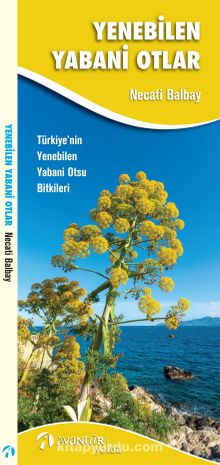 Yenebilen Yabani Otlar & Türkiye’nin Yenebilen Yabani Otsu Bitkileri kitap kapağı