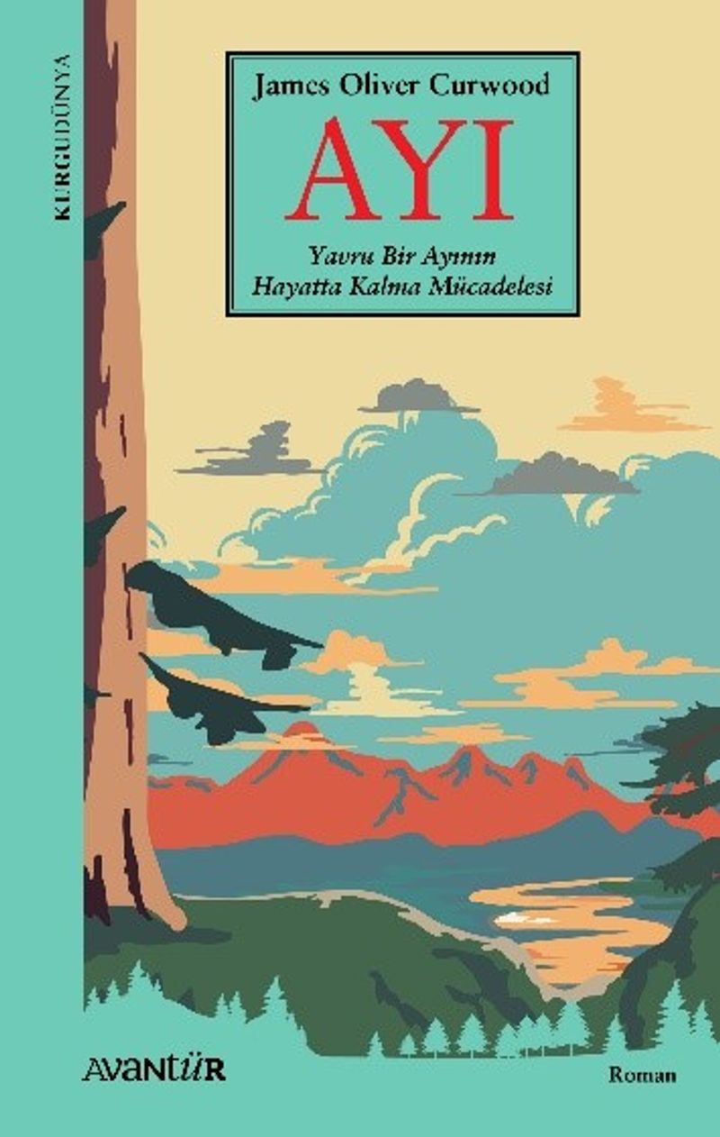 Ayı Yavru Bir Ayının Hayatta Kalma Mücadelesi kitap kapağı