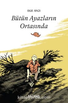 Bütün Ayazların Ortasında kitap kapağı