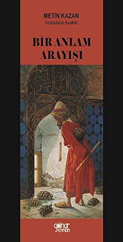 Bir Anlam Arayışı kitap kapağı