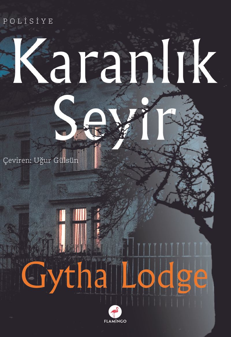 Karanlık Seyir kitap kapağı
