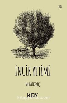 İncir Yetimi kitap kapağı