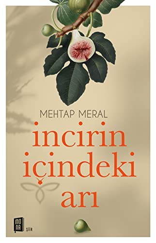 İncirin İçindeki Arı kitap kapağı