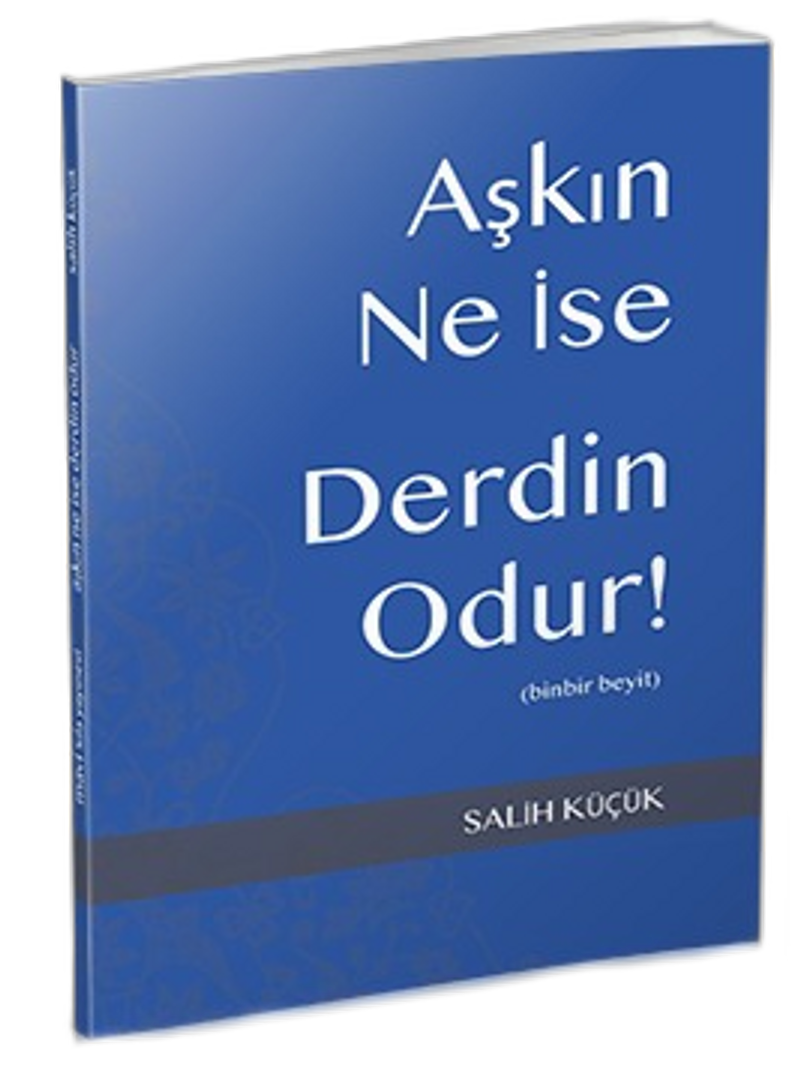 Aşkın Ne İse Derdin Odur 1001 Beyit kitap kapağı