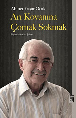 Arı Kovanına Çomak Sokmak kitap kapağı