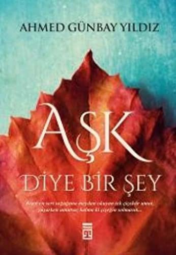 Aşk Diye Bir Şey kitap kapağı