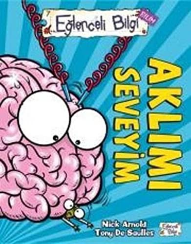 Aklımı Seveyim kitap kapağı