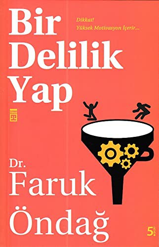 Bir Delilik Yap kitap kapağı