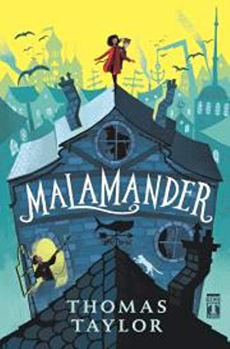 Malamander kitap kapağı