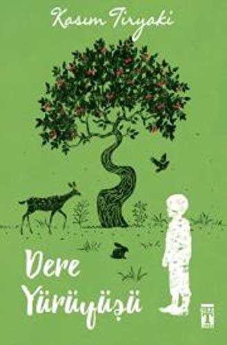 Dere Yürüyüşü - Hebo 3 kitap kapağı