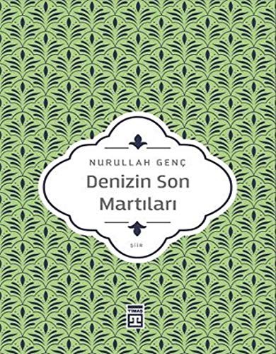 Denizin Son Martıları kitap kapağı
