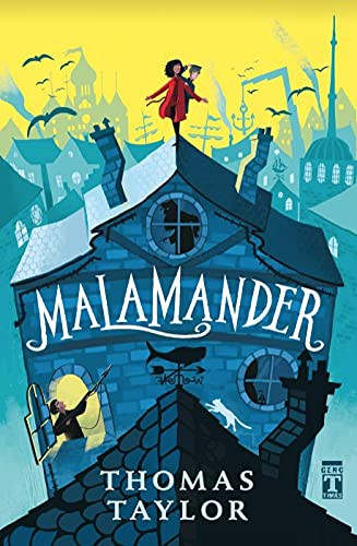 Malamander (Bez Ciltli / Şömizli) kitap kapağı