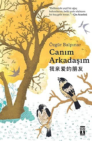 Canım Arkadaşım ( Bez Cilt Sert Kapak Şömizli ) kitap kapağı