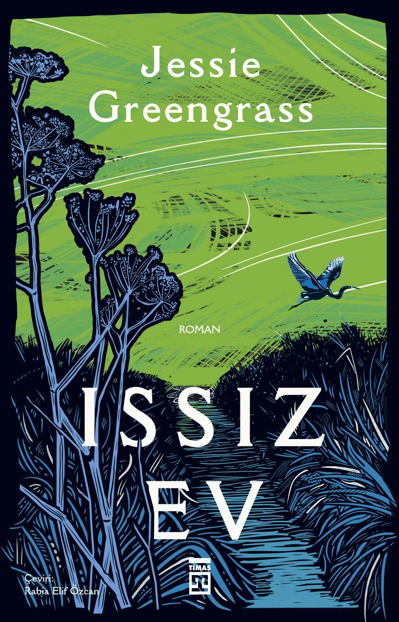 Issız Ev kitap kapağı