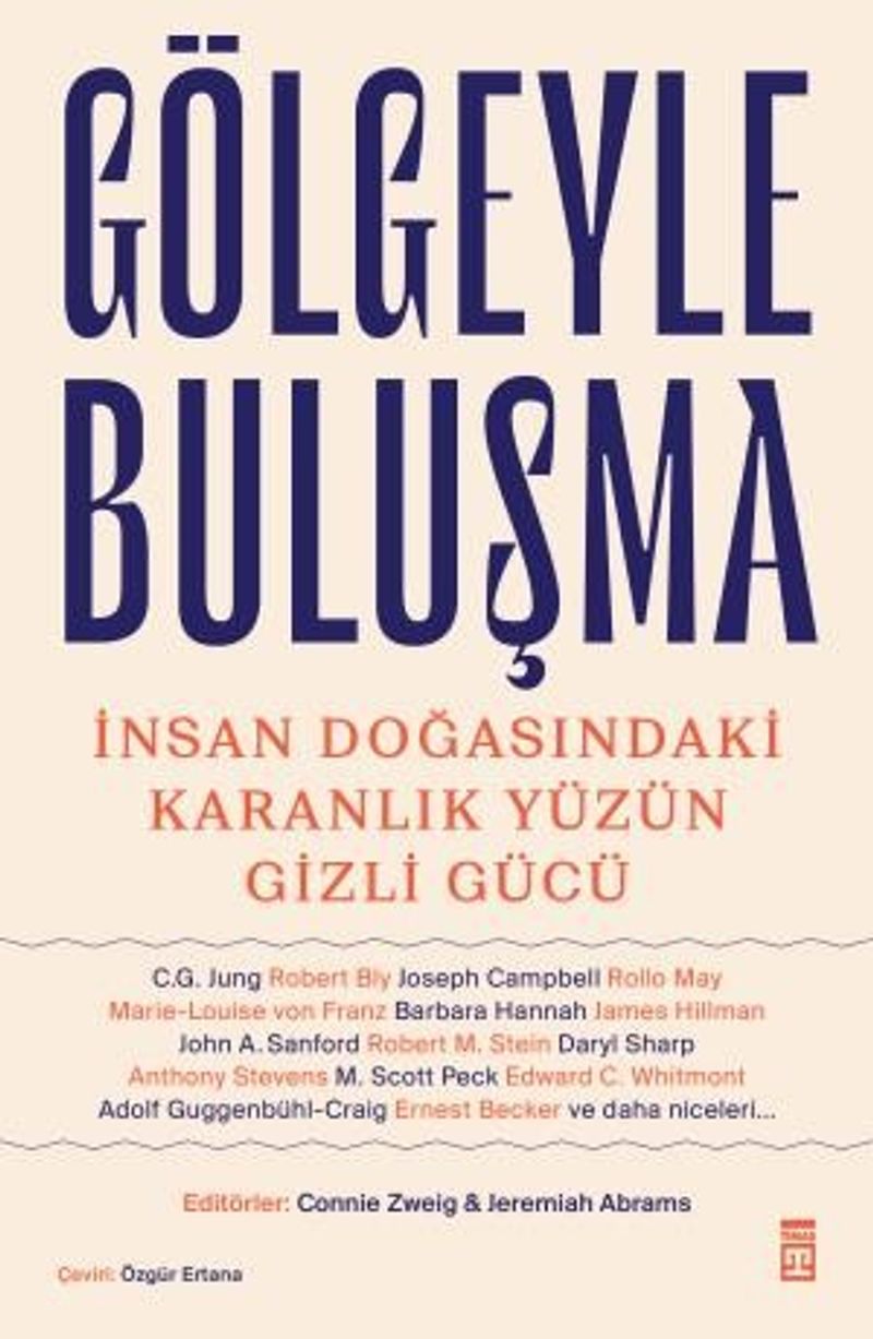 Gölgeyle Buluşma İnsan Doğasındaki Karanlık Yüzün Gizli Gücü kitap kapağı