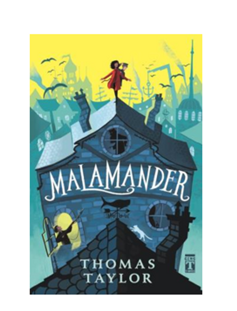 Malamander (Fleksi Cilt) kitap kapağı