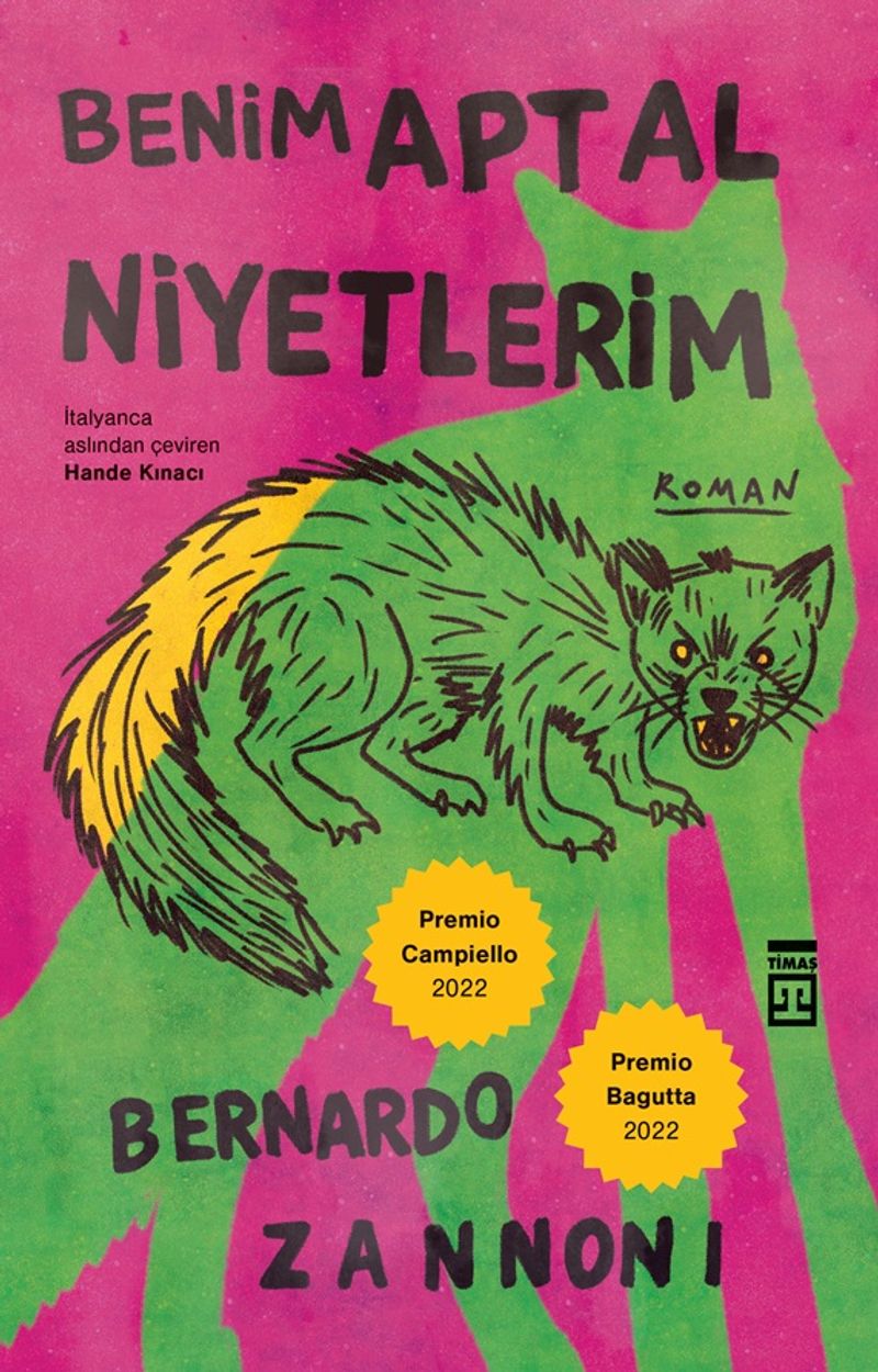 Benim Aptal Niyetlerim kitap kapağı