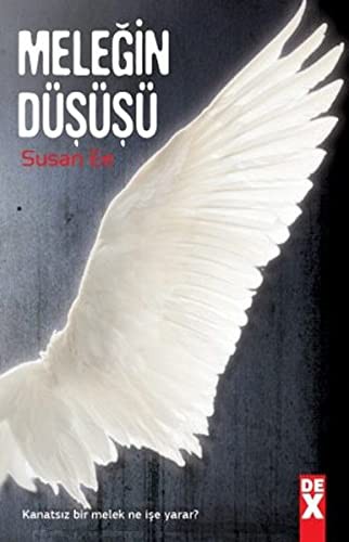 Meleğin Düşüşü kitap kapağı