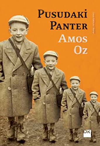 Pusudaki Panter kitap kapağı