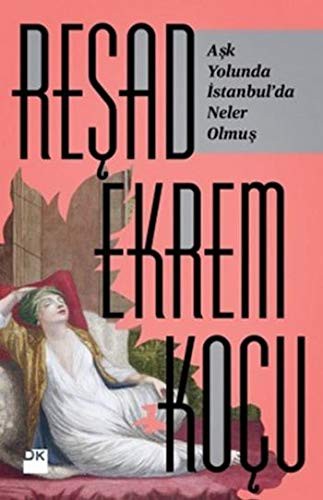 Aşk Yolunda İstanbul'da Neler Olmuş kitap kapağı