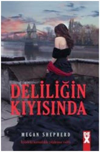 Deliliğin Kıyısında kitap kapağı