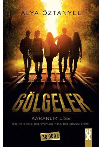 Karanlık Lise - Gölgeler kitap kapağı