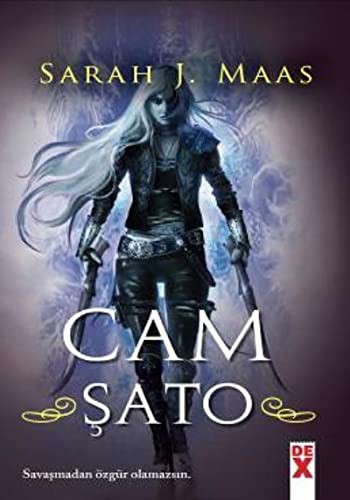 Cam Şato 1 (Ciltli) kitap kapağı