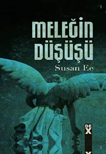 Meleğin Düşüşü (Ciltli) kitap kapağı
