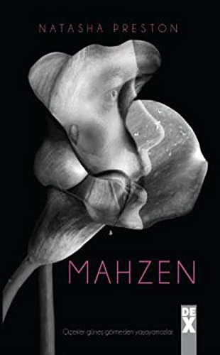 Mahzen kitap kapağı