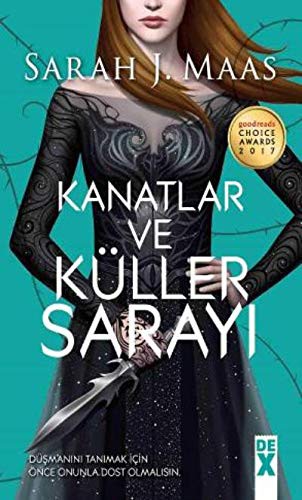 Kanatlar ve Küller Sarayı kitap kapağı