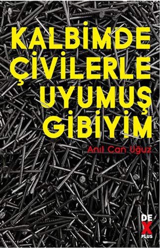 Kalbimde Çivilerle Uyumuş Gibiyim kitap kapağı
