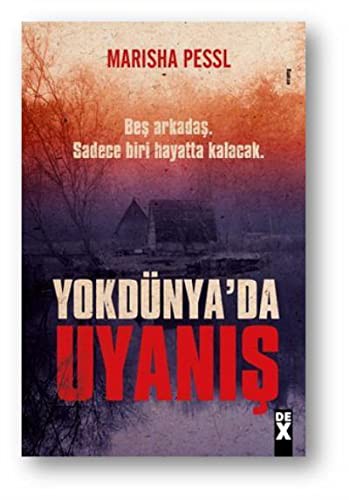 Yokdünya’da Uyanış kitap kapağı