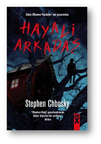Hayali Arkadaş kitap kapağı