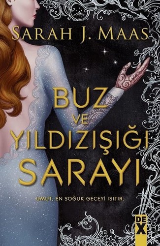 Buz ve Yıldızışığı Sarayı kitap kapağı