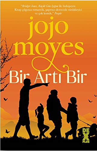 Bir Artı Bir kitap kapağı