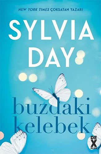 Buzdaki Kelebek kitap kapağı