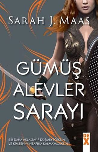Gümüş Alevler Sarayı &Dikenler ve Güller Sarayı 4.Kitap kitap kapağı